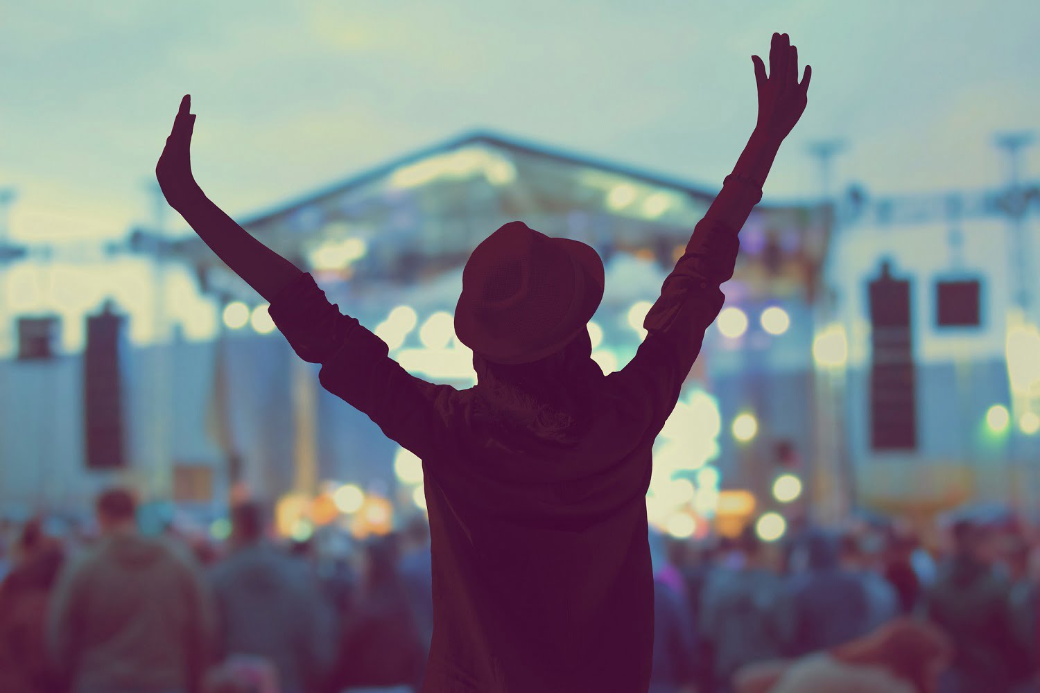 girl at concert