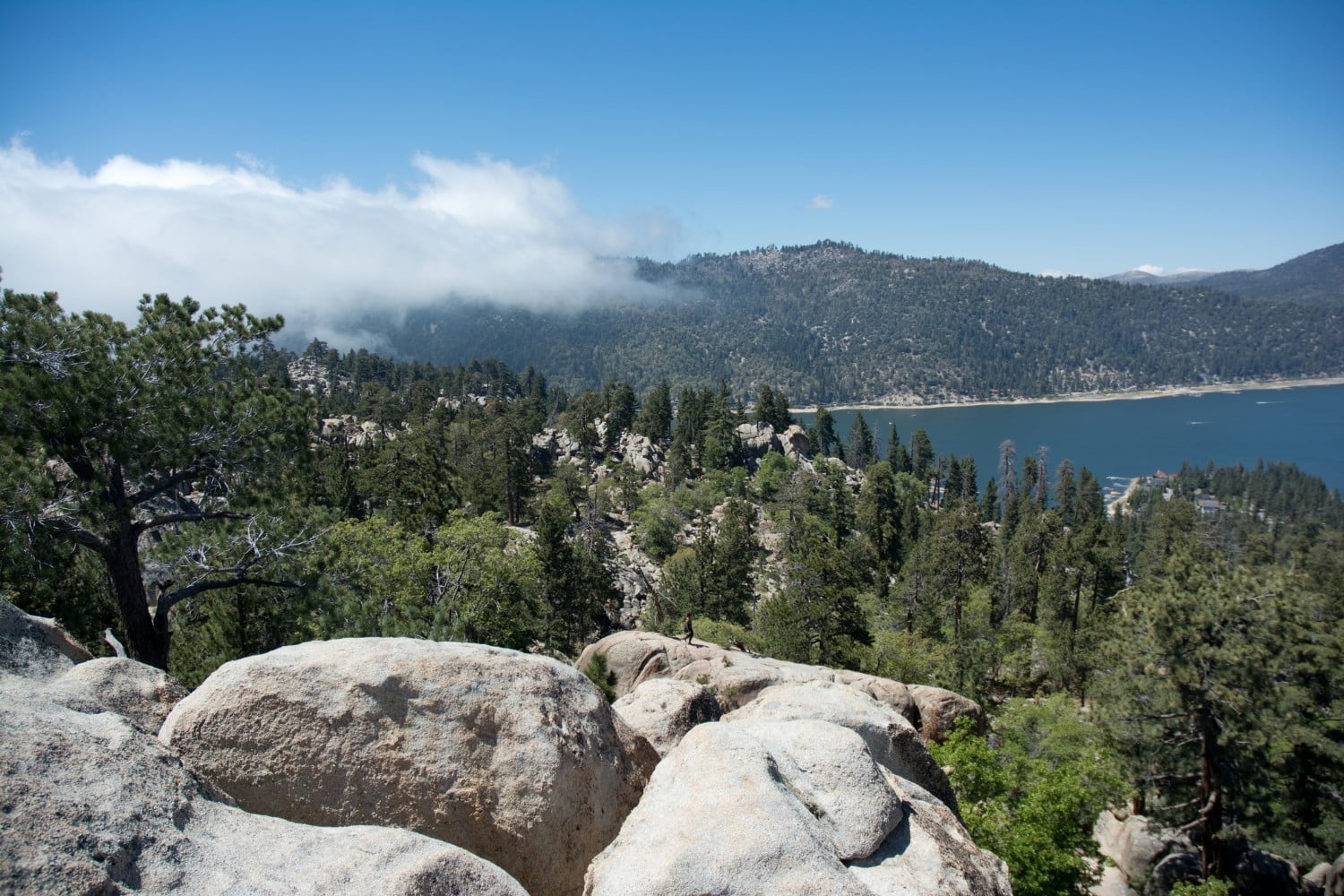 Spectacular Views Await You on the Castle Rock Trail