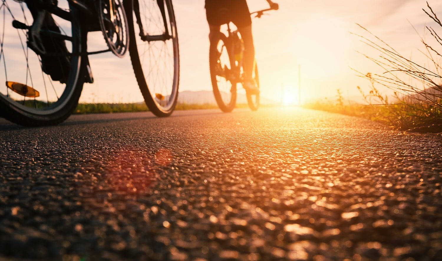 people biking on a road